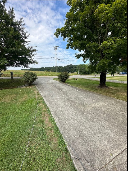 Before — Driveway and concrete cleaning