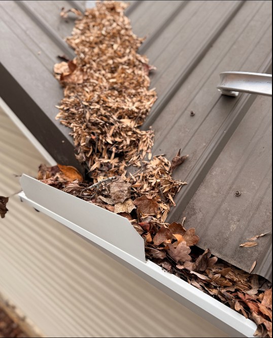 Before — Gutter cleaning